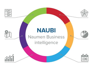 Naumen Business Intelligence. Система по оперативному контролю и поддержке принятия управленческих решений
