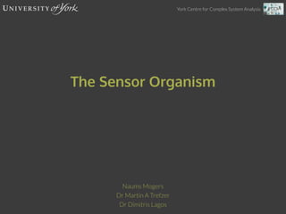 York Centre for Complex System Analysis
The Sensor Organism
Naums Mogers
Dr Martin A Trefzer
Dr Dimitris Lagos
 