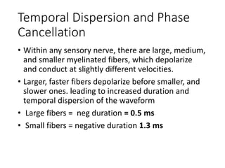 Temporal Dispersion and Phase
Cancellation
• Within any sensory nerve, there are large, medium,
and smaller myelinated fibers, which depolarize
and conduct at slightly different velocities.
• Larger, faster fibers depolarize before smaller, and
slower ones. leading to increased duration and
temporal dispersion of the waveform
• Large fibers = neg duration = 0.5 ms
• Small fibers = negative duration 1.3 ms
 
