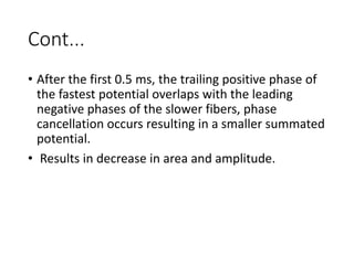Cont...
• After the first 0.5 ms, the trailing positive phase of
the fastest potential overlaps with the leading
negative phases of the slower fibers, phase
cancellation occurs resulting in a smaller summated
potential.
• Results in decrease in area and amplitude.
 