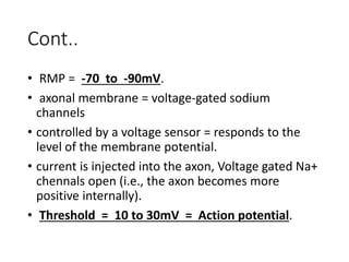 Cont..
• RMP = -70 to -90mV.
• axonal membrane = voltage-gated sodium
channels
• controlled by a voltage sensor = responds to the
level of the membrane potential.
• current is injected into the axon, Voltage gated Na+
chennals open (i.e., the axon becomes more
positive internally).
• Threshold = 10 to 30mV = Action potential.
 