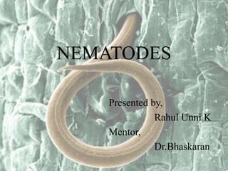 NEMATODES
Presented by,
Rahul Unni K
Mentor,
Dr.Bhaskaran
 