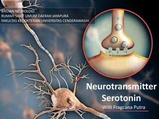 Neurotransmitter
Serotonin
Willi Fragcana Putra
BAGIAN NEUROLOGI
RUMAH SAKIT UMUM DAERAH JAYAPURA
FAKULTAS KEDOKTERAN UNIVERSITAS CENDERAWASIH
 