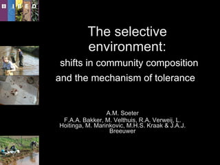 The selective environment:   shifts in community composition and the mechanism of tolerance   A.M. Soeter F.A.A. Bakker, M. Velthuis, R.A. Verweij, L. Hoitinga, M. Marinkovic, M.H.S. Kraak & J.A.J. Breeuwer 