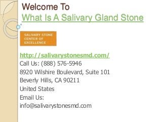 Welcome To 
What Is A Salivary Gland Stone 
http://salivarystonesmd.com/ 
Call Us: (888) 576-5946 
8920 Wilshire Boulevard, Suite 101 
Beverly Hills, CA 90211 
United States 
Email Us: 
info@salivarystonesmd.com 
 