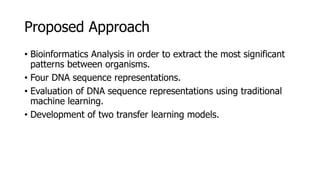 Proposed Approach
• Bioinformatics Analysis in order to extract the most significant
patterns between organisms.
• Four DNA sequence representations.
• Evaluation of DNA sequence representations using traditional
machine learning.
• Development of two transfer learning models.
 