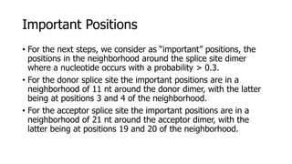 Important Positions
• For the next steps, we consider as “important” positions, the
positions in the neighborhood around the splice site dimer
where a nucleotide occurs with a probability > 0.3.
• For the donor splice site the important positions are in a
neighborhood of 11 nt around the donor dimer, with the latter
being at positions 3 and 4 of the neighborhood.
• For the acceptor splice site the important positions are in a
neighborhood of 21 nt around the acceptor dimer, with the
latter being at positions 19 and 20 of the neighborhood.
 