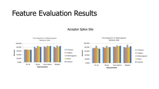 Feature Evaluation Results
Acceptor Splice Site
0.00%
20.00%
40.00%
60.00%
80.00%
100.00%
Per Se Binary Score Matrix Weights
Accuracy
Representation
Test Organism: D. Melanogaster
Method: kNN
A Thaliana
C Elegans
D Melanogaster
D Rerio
H Sapiens0.00%
20.00%
40.00%
60.00%
80.00%
100.00%
Per Se Binary Score Matrix Weights
Accuracy
Representation
Test Organism: D.Melanogaster
Method: SVM
A Thaliana
C Elegans
D Melanogaster
D Rerio
H Sapiens
 