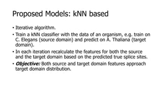 Proposed Models: kNN based
• Iterative algorithm.
• Train a kNN classifier with the data of an organism, e.g. train on
C. Elegans (source domain) and predict on A. Thaliana (target
domain).
• In each iteration recalculate the features for both the source
and the target domain based on the predicted true splice sites.
• Objective: Both source and target domain features approach
target domain distribution.
 