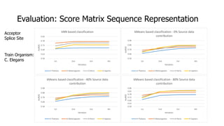 0.58
0.63
0.68
0.73
0.78
0.83
1st 2nd 3rd 4th
AuROC
Iteration
kNN based classification
A Thaliana D Melanogaster D Rerio H Sapiens
0.58
0.68
0.78
0.88
0.98
1st 2nd 3rd 4th
AuROC
Iteration
kMeans based classification - 0% Source data
contribution
A Thaliana D Melanogaster D Rerio H Sapiens
0.58
0.68
0.78
0.88
0.98
1st 2nd 3rd 4th
AuROC
Iteration
kMeans based classification - 40% Source data
contribution
A Thaliana D Melanogaster D Rerio H Sapiens
0.58
0.63
0.68
0.73
0.78
0.83
0.88
1st 2nd 3rd 4th
AuROC
Iteration
kMeans based classification - 80% Source data
contribution
A Thaliana D Melanogaster D Rerio H Sapiens
Evaluation: Score Matrix Sequence Representation
Acceptor
Splice Site
Train Organism:
C. Elegans
 