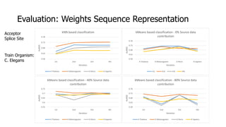Evaluation: Weights Sequence Representation
0.58
0.63
0.68
0.73
0.78
1st 2nd 3rd 4th
AuROC
Iteration
kNN based classification
A Thaliana D Melanogaster D Rerio H Sapiens
0.58
0.63
0.68
0.73
0.78
A Thaliana D Melanogaster D Rerio H Sapiens
AuROC
Iteration
kMeans based classification - 0% Source data
contribution
1st 2nd 3rd 4th
0.55
0.6
0.65
0.7
0.75
1st 2nd 3rd 4th
AuROC
Iteration
kMeans based classification - 40% Source data
contribution
A Thaliana D Melanogaster D Rerio H Sapiens
0.58
0.63
0.68
0.73
0.78
1st 2nd 3rd 4th
AuROC
Iteration
kMeans based classification - 80% Source data
contribution
A Thaliana D Melanogaster D Rerio H Sapiens
Acceptor
Splice Site
Train Organism:
C. Elegans
 