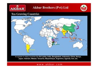Akbar Brothers (Pvt) Ltd
Tea Growing Countries




  It is grown in many countries like Sri Lanka, India, Bangladesh, Indonesia, China, Kenya,
        Japan, Vietnam, Malawi, Tanzania, Mozambique, Argentina, Uganda, Iran, etc.


                               www.akbar.com
 