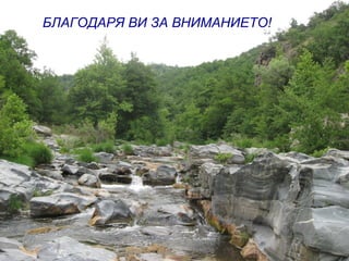 БЛАГОДАРЯ ВИ ЗА ВНИМАНИЕТО!
 
