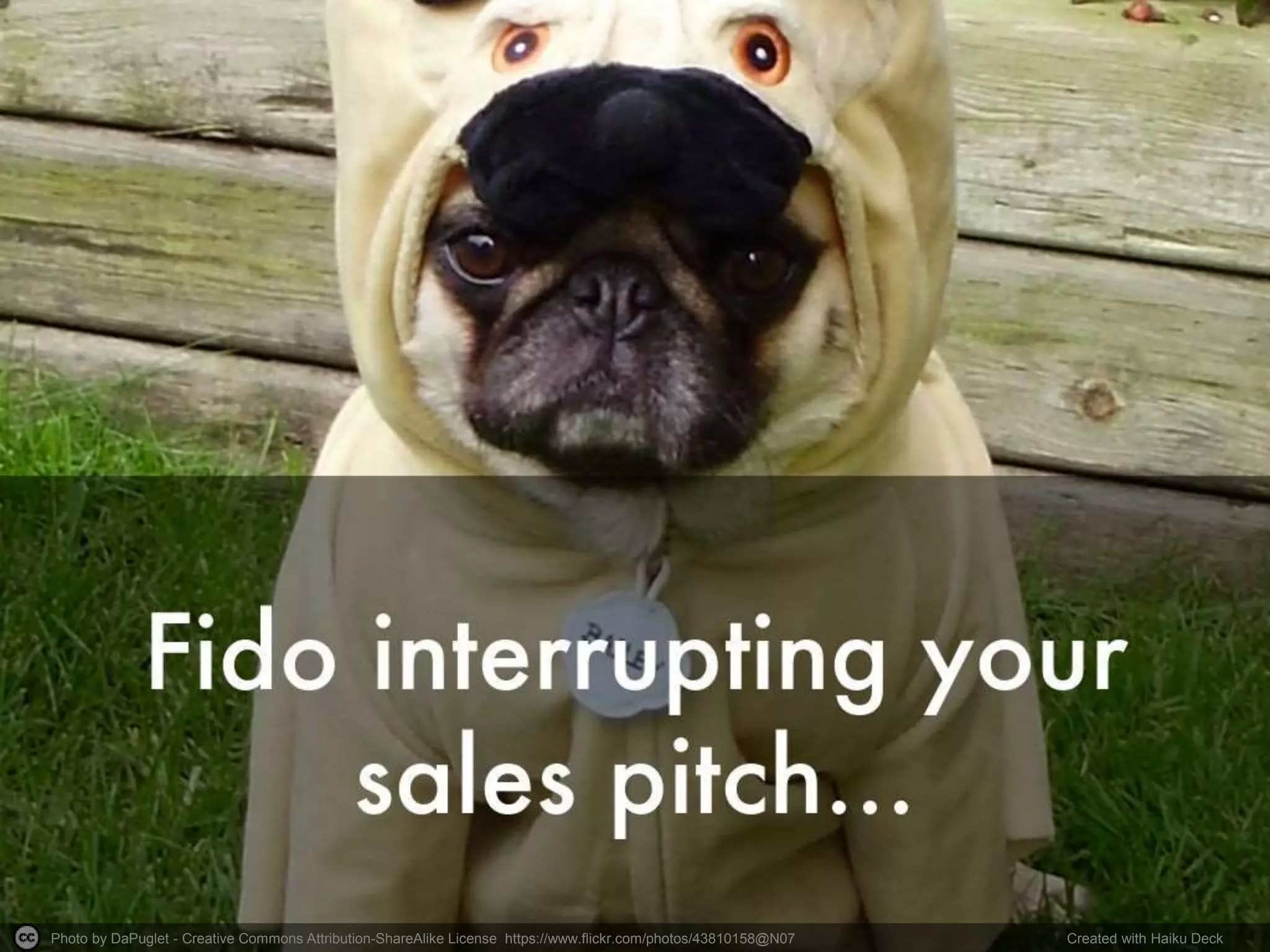 Photo by DaPuglet - Creative Commons Attribution-ShareAlike License https://www.flickr.com/photos/43810158@N07 Created with Haiku Deck 
 