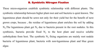 B. Symbiotic Nitrogen Fixation
These micro-organism establish symbiotic relationship with different plants. The
symbiotic relationship between higher plant root and soil bacteria is quiet known. The
leguminous plant should be sown not only for their yield but for the benefit of next
grown crops, because , the residue of leguminous plant enriches the soil by adding
N2.The leguminous plant get N2 due to bacteria present in the root nodules. In this
symbiosis, bacteria provide fixed N2 to the host plant and receive soluble
carbohydrate from host. The symbiotic N2 fixing organisms are mainly root nodule
bacteria of leguminous plant, bacteria with non-leguminous plant and blue green
algae.
 