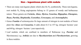 Non – leguminous plant with nodule
• There are many non-legume plants which also fix N2 symbioticlly. These non-legume,
root nodule N2 fixing angiosperms belong to 15 genera of woody and herbaceous
nature. These genera are Coriaria, Alnus, Myrica, Casurina, Hippophae, Elaeagnus,
Dryas, Purshia, Shephardia, Coenothus, Cerocarpus, and Arctostaphylos.
• Genus Frankia of actinomycetes fix large amount of nitrogen in root nodules of forest
plant like Alnus and Casuarina. It adds about 61.5 to 157 kg. nitrogen/ hectare/ year
and 60 kg. nitrogen / hectare / year repectively.
• Leaf nodules which are confined to members of Rubiaceae (e.g. Pavetta) and
Myrsinaceae,( e.g. Ardisia) are due to Mycobacterium and Flavobacterium, growing
in these nodules.
 