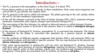 Introduction---
• The N2 is present in the atmosphere, in the form of gas. It is about 78%.
• Green plants unable to use this N2 directly in their metabolism. Only some micro-organism can
convert this N2 gas directly into organic form.
• The N2 present in the soil is called soil nitrogen. The plants growing in the soil, mainly utilize
the soil N2 for their metabolic requirements.
• In the soil the nitrogen is present in the form of nitrate nitrogen (NO3, NO2), ammonia nitrogen
(ammonia, ammonium salt), organic nitrogen and molecular nitrogen (N2).
• The converging of the free nitrogen, by natural or physical process is called nitrogen fixation…
when any biological system is involved in this process, then it is called as biological nitrogen
fixation……
• In this process of biological N2 fixation, atmospheric N2 is converted into ammonia. The nitrate
N2 absorbed by the plants is converted into ammonia by a process known as nitrate
reduction…
• For the synthesis of different organic compound, both nitrates (NO3), and ammonia (NH4) are
assimilated in plants with the help of specific enzyme. The two imp enzymes in the process are
nitrate reductase and nitrogenase…
• Only some micro-organism or prokaryotic cell can carry out biological N2 fixation, because
only these cells show presence of enzyme nitrogenase, required for process. These prokaryotic
cells have specific genes in their genome, which carry out synthesis and regulation of enzyme
nitrogenase. These genes are associated with N2 fixation, are known as nif genes…..
 