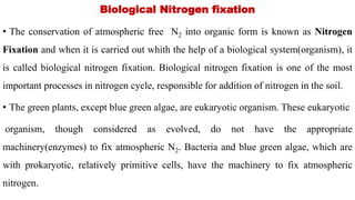 Biological Nitrogen fixation
• The conservation of atmospheric free N2 into organic form is known as Nitrogen
Fixation and when it is carried out whith the help of a biological system(organism), it
is called biological nitrogen fixation. Biological nitrogen fixation is one of the most
important processes in nitrogen cycle, responsible for addition of nitrogen in the soil.
• The green plants, except blue green algae, are eukaryotic organism. These eukaryotic
organism, though considered as evolved, do not have the appropriate
machinery(enzymes) to fix atmospheric N2. Bacteria and blue green algae, which are
with prokaryotic, relatively primitive cells, have the machinery to fix atmospheric
nitrogen.
 