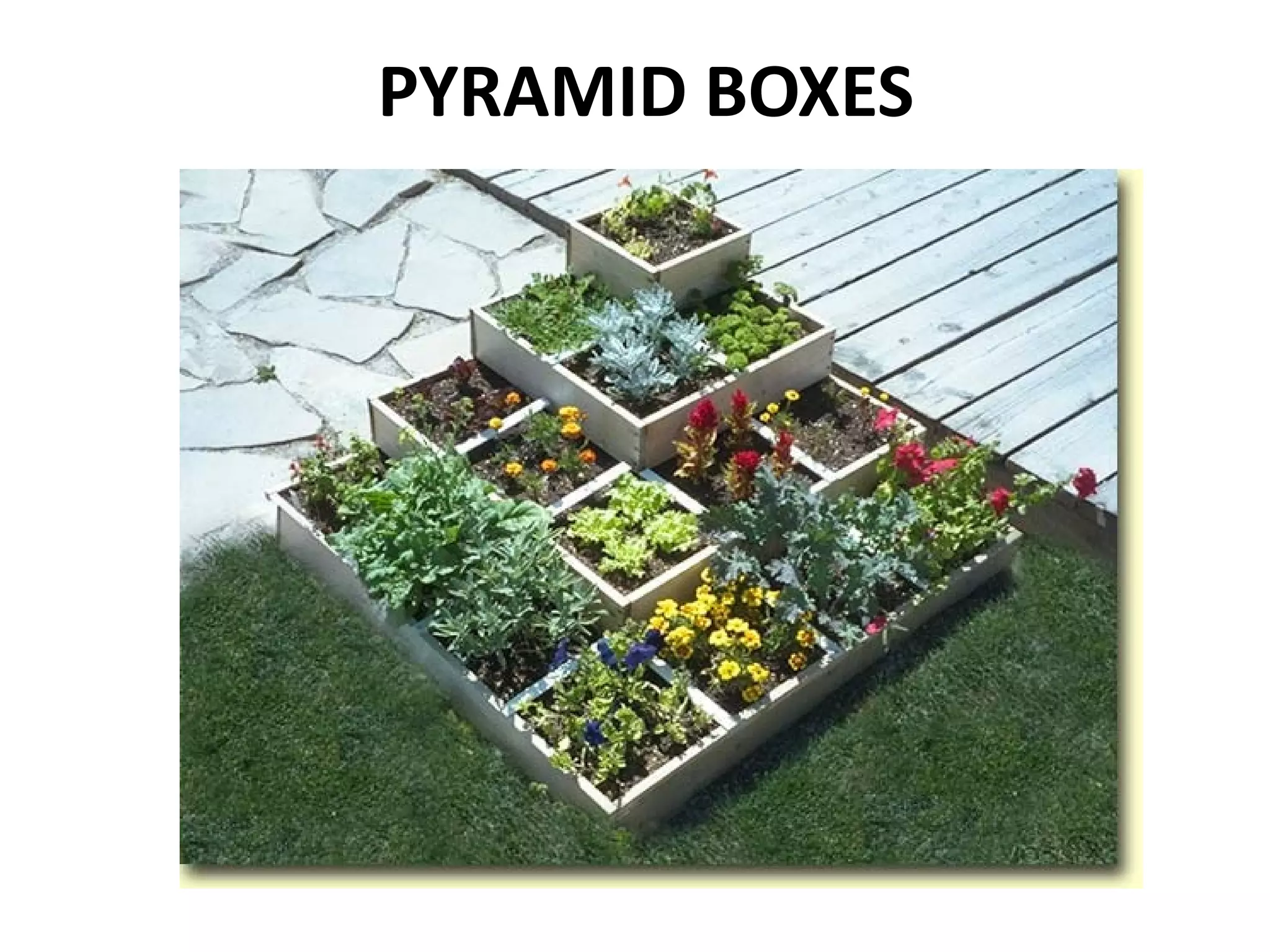 PYRAMID BOXES
 
