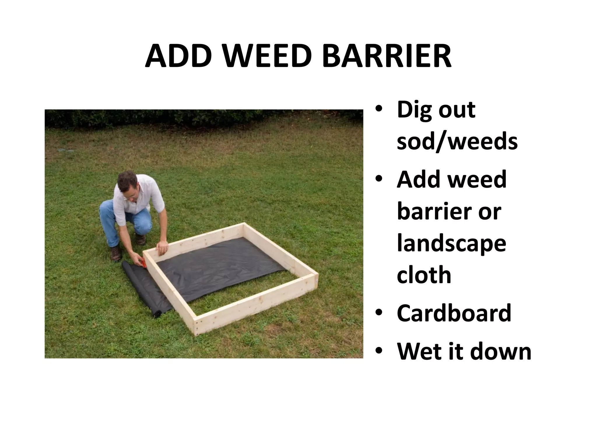 ADD WEED BARRIER
           • Dig out
             sod/weeds
           • Add weed
             barrier or
             landscape
             cloth
           • Cardboard
           • Wet it down
 