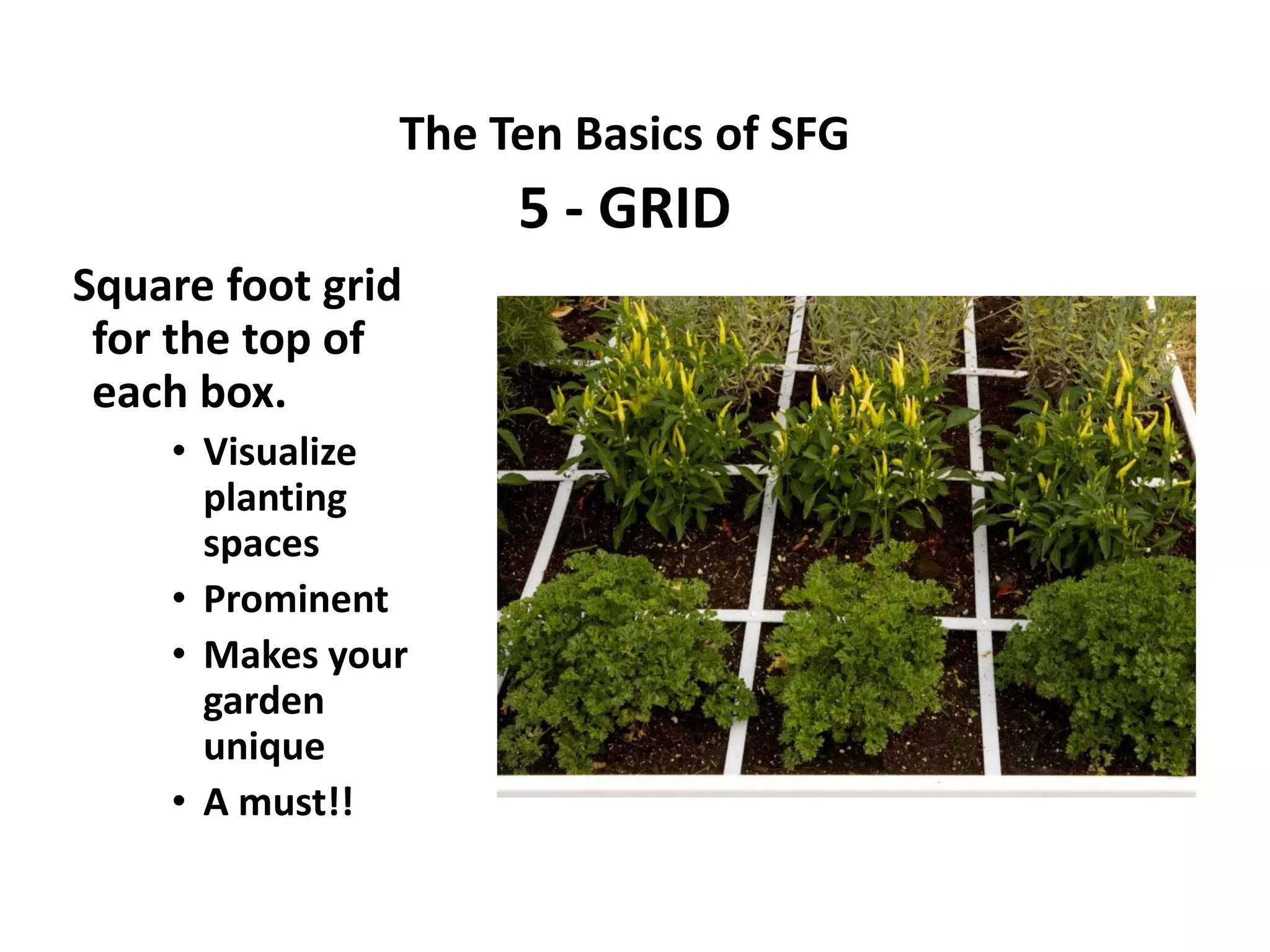 The Ten Basics of SFG
                    5 - GRID
Square foot grid
 for the top of
 each box.
    • Visualize
      planting
      spaces
    • Prominent
    • Makes your
      garden
      unique
    • A must!!
 
