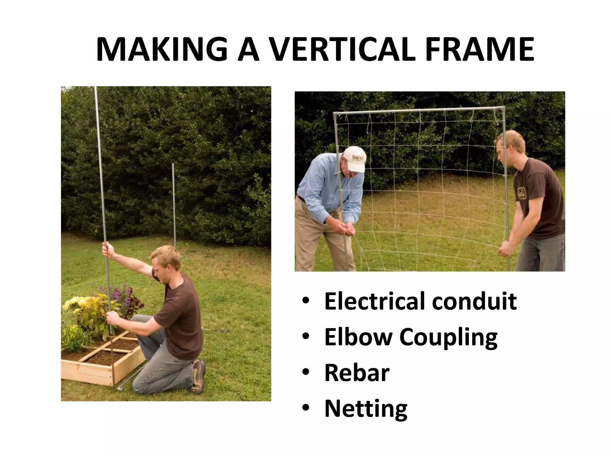 MAKING A VERTICAL FRAME




          •   Electrical conduit
          •   Elbow Coupling
          •   Rebar
          •   Netting
 