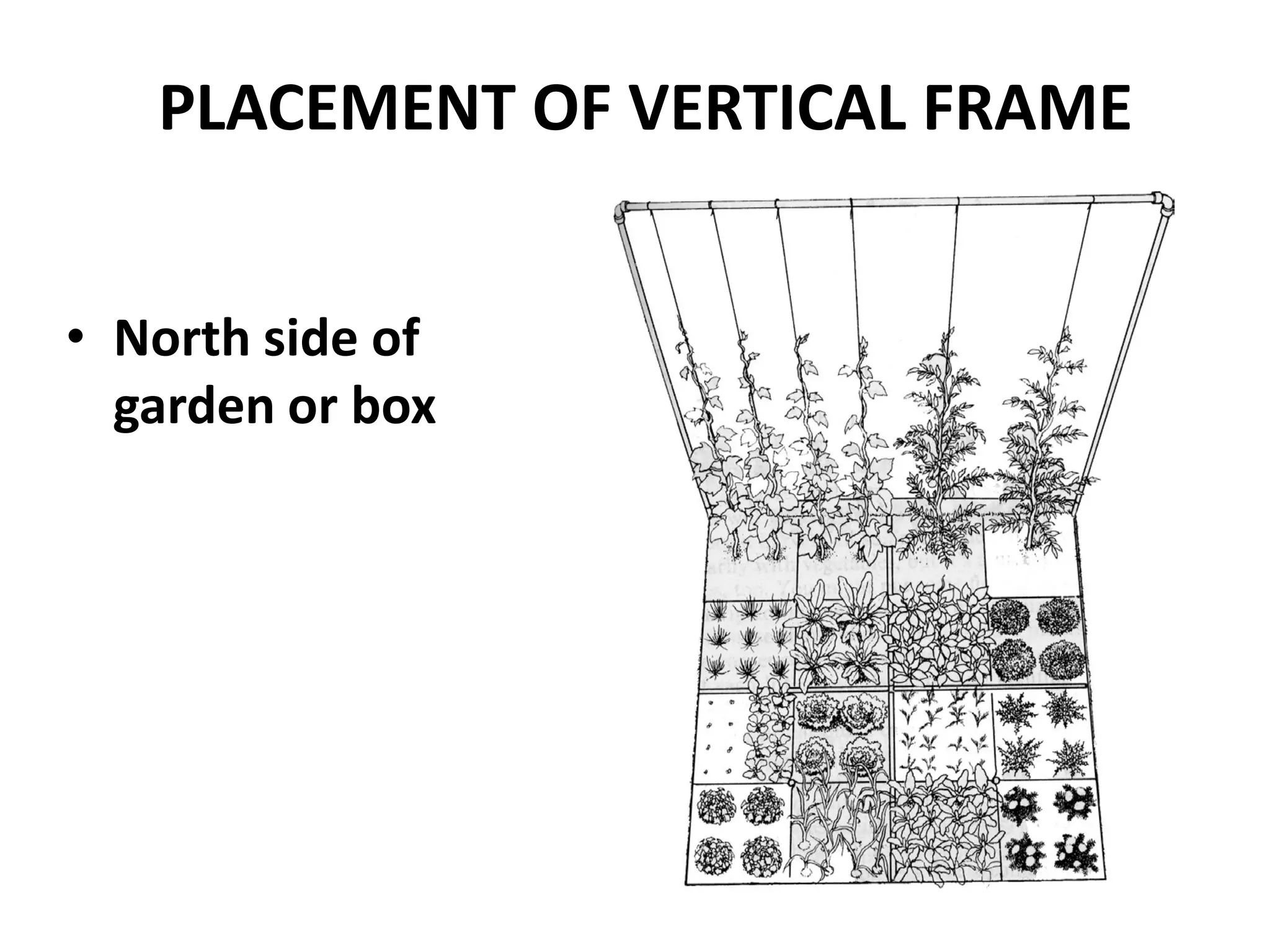 PLACEMENT OF VERTICAL FRAME


• North side of
  garden or box
 