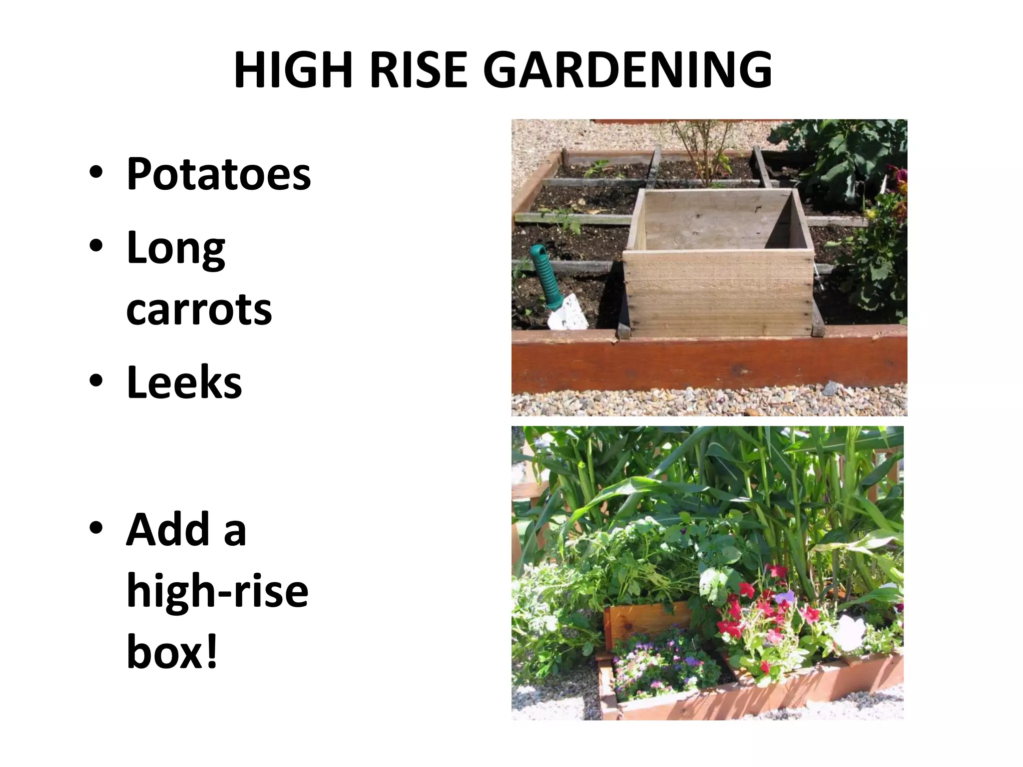 HIGH RISE GARDENING
• Potatoes
• Long
  carrots
• Leeks

• Add a
  high-rise
  box!
 