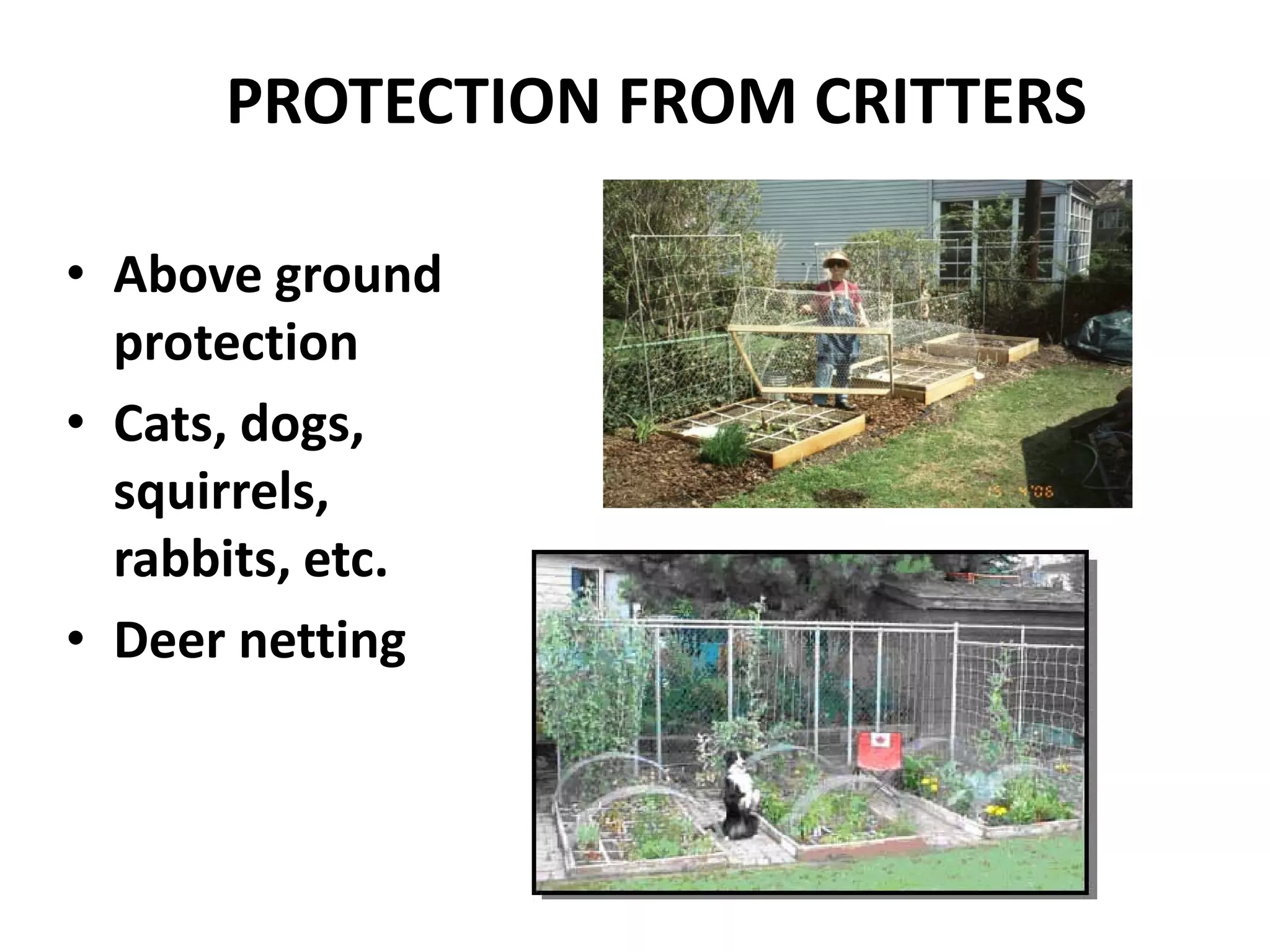 PROTECTION FROM CRITTERS

• Above ground
  protection
• Cats, dogs,
  squirrels,
  rabbits, etc.
• Deer netting
 