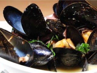 Extra Virgin Modern Italian Cuisine, Arlington, VA 22206 | PPTX