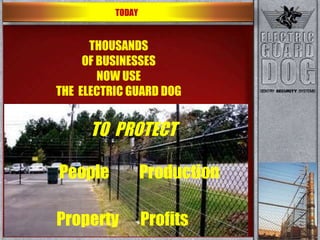 THOUSANDS OF BUSINESSES NOW USE THE  ELECTRIC GUARD DOG TODAY TO  PROTECT People Production Property Profits 