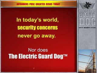 In today’s world, security concerns never go away.   Nor does The Electric Guard Dog ™   INTRUDERS  POSE  GREATER  RISKS  TODAY  