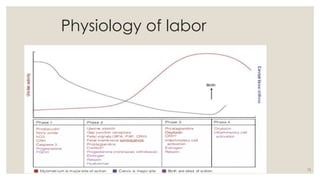 12
Physiology of labor
 