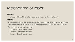 16
Mechanism of labor
Attitude
◦ It is the position of the fetal head and neck to the fetal body
Position
◦ The relationship of the fetal presenting part to the right or left side of the
pelvis or anterior, transverse or posterior position to the maternal pelvis
◦ Based on the presenting part
◦ Occiput - Vertex presentation
◦ Mentum - Face presentation
◦ Sacrum - Breech presentation
 