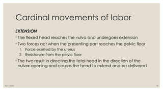 06/11/2025 24
Cardinal movements of labor
EXTENSION
◦ The flexed head reaches the vulva and undergoes extension
◦ Two forces act when the presenting part reaches the pelvic floor
1. Force exerted by the uterus
2. Resistance from the pelvic floor
◦ The two result in directing the fetal head in the direction of the
vulvar opening and causes the head to extend and be delivered
 