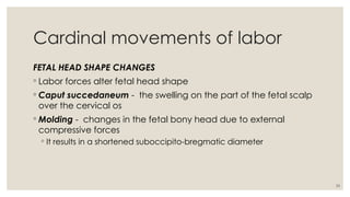 26
Cardinal movements of labor
FETAL HEAD SHAPE CHANGES
◦ Labor forces alter fetal head shape
◦ Caput succedaneum - the swelling on the part of the fetal scalp
over the cervical os
◦ Molding - changes in the fetal bony head due to external
compressive forces
◦ It results in a shortened suboccipito-bregmatic diameter
 