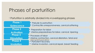 7
Phases of parturition
◦ Partutition is arbitrarily divided into 4 overlapping phases
• Prelude to parturition
• Contractile unresponsiveness, cervical softening
Phase 1
Quiescence
• Preparation for labor
• Uterine preparedness for labor, cervical ripening
Phase 2
Activation
• Processes of labor
• Uterine contraction, cervical dilatation, fetal and
placental expulsion
Phase 3
Stimulation
• Parturient recovery
• Uterine involution, cervical repair, breast feeding
Phase 4
Involution
 