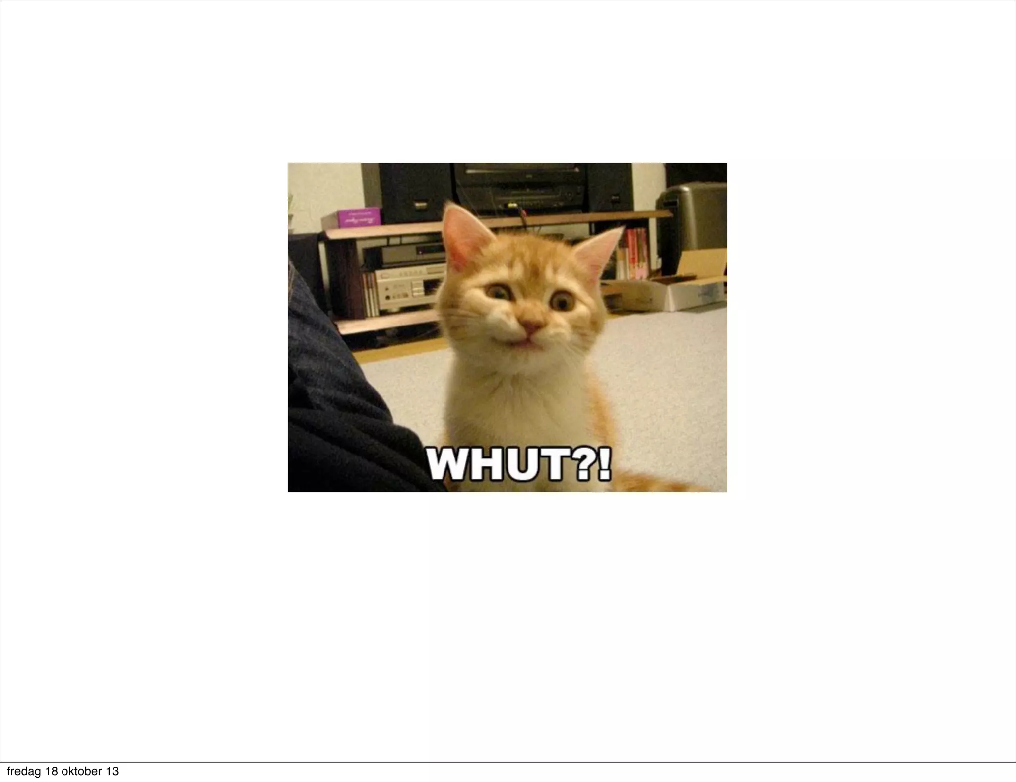 fredag 18 oktober 13

 