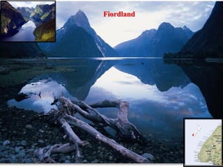 Fiordland

 