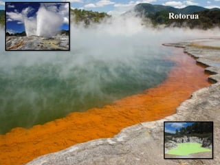 Rotorua

 