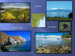 Vignoble

Hawke’s Bay

Lac Taupo

 