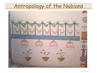 Anthropology of the Nubians
© Experience Nubia
 