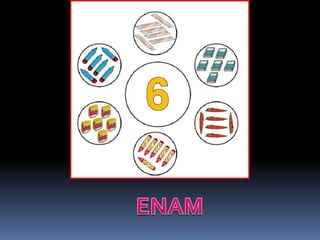 mengira nombor 1 hingga 10