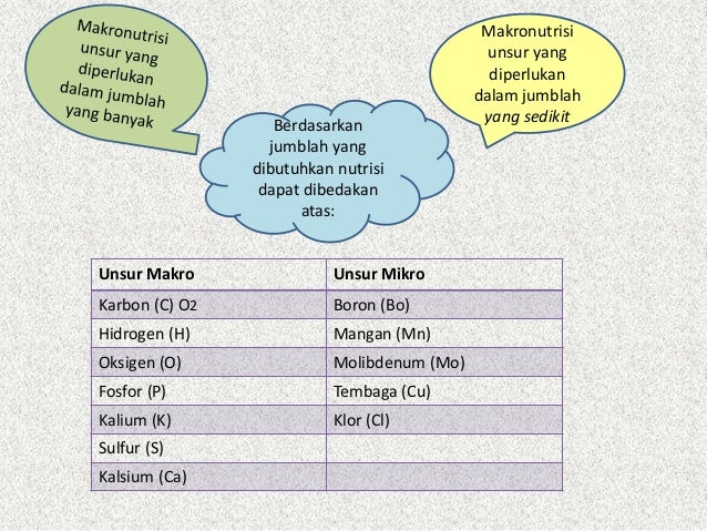 FAKTOR FAKTOR YANG MEMPENGARUHI PERTUMBUHAN DAN FAKTOR FAKTOR YANG MEMPENGARUHI PERTUMBUHAN DAN