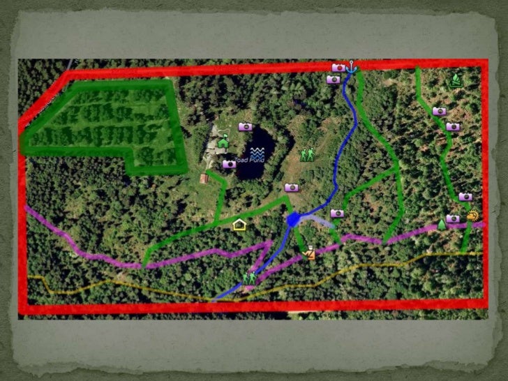 Northwest Trek Final Presentation