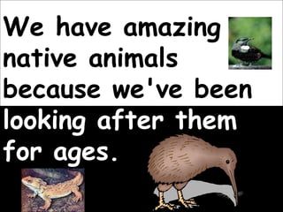 We have amazing native animals because we've been  looking after them for ages. 