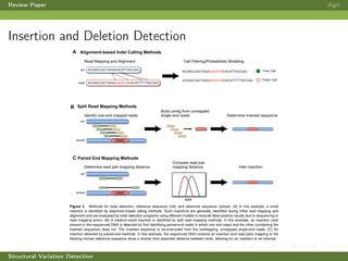 Review Paper digit
Insertion and Deletion Detection
Structural Variation Detection
 