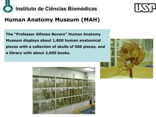 Instituto de Ciências Biomédicas

Human Anatomy Museum (MAH)

The “Professor Alfonso Bovero” Human Anatomy
Museum displays about 1,800 human anatomical
pieces with a collection of skulls of 500 pieces, and
a library with about 2,000 books.
 