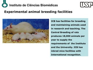 Instituto de Ciências Biomédicas

Experimental animal breeding facilities

                             ICB has facilities for breeding
                             and maintaining animals used
                             in research and teaching. The
                             Central Breeding of rats
                             produces 18,000 animals per
                             year to supply the
                             requirements of the Institute
                             and the University. ICB has
                             inbred mice facilities with
                             International recognition.
 