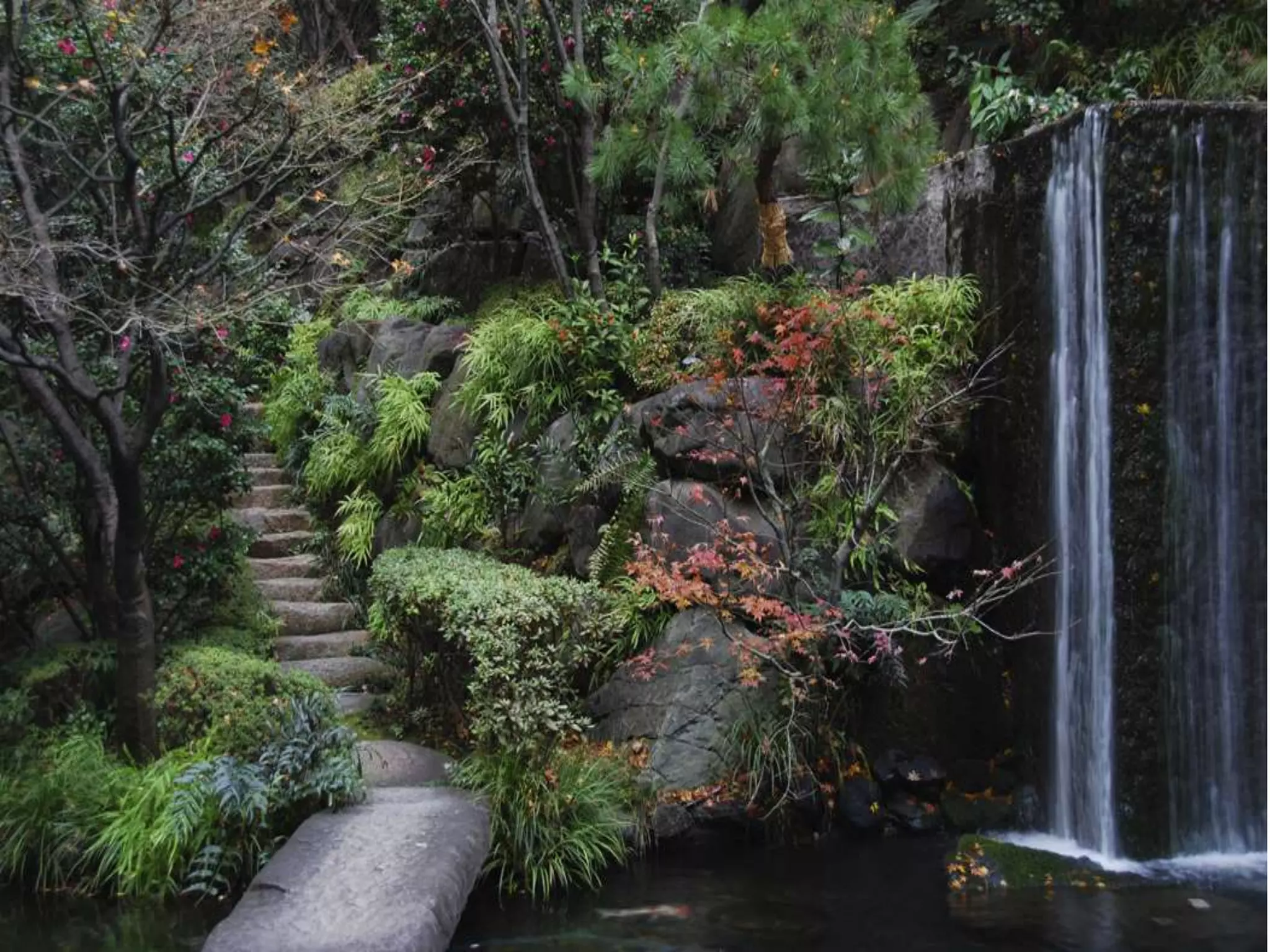 Make a short storywiththepicturesshownonnext page